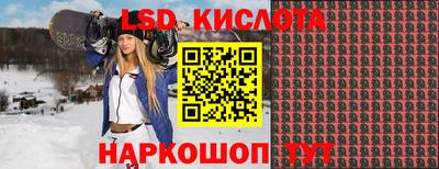 гашик Аргун