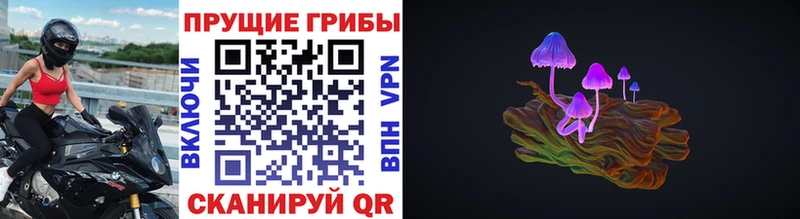 hydra ТОР  Архангельск  Галлюциногенные грибы Cubensis  сколько стоит 