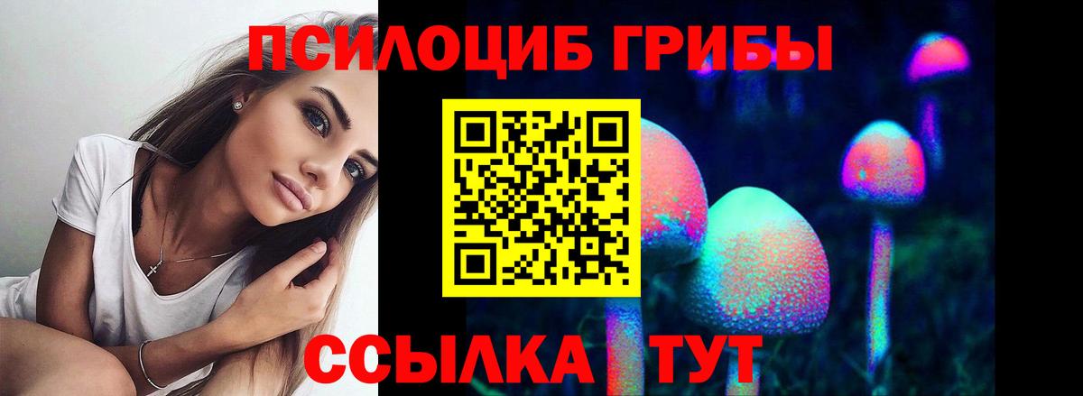 Архангельск  Псилоцибиновые грибы Cubensis  Вход с VPN 